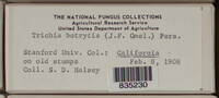 Image Associated With the Occurence